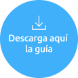 Descargar aquí la guía